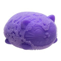 NeeDoh Fuzz Ball Wild Cats Series