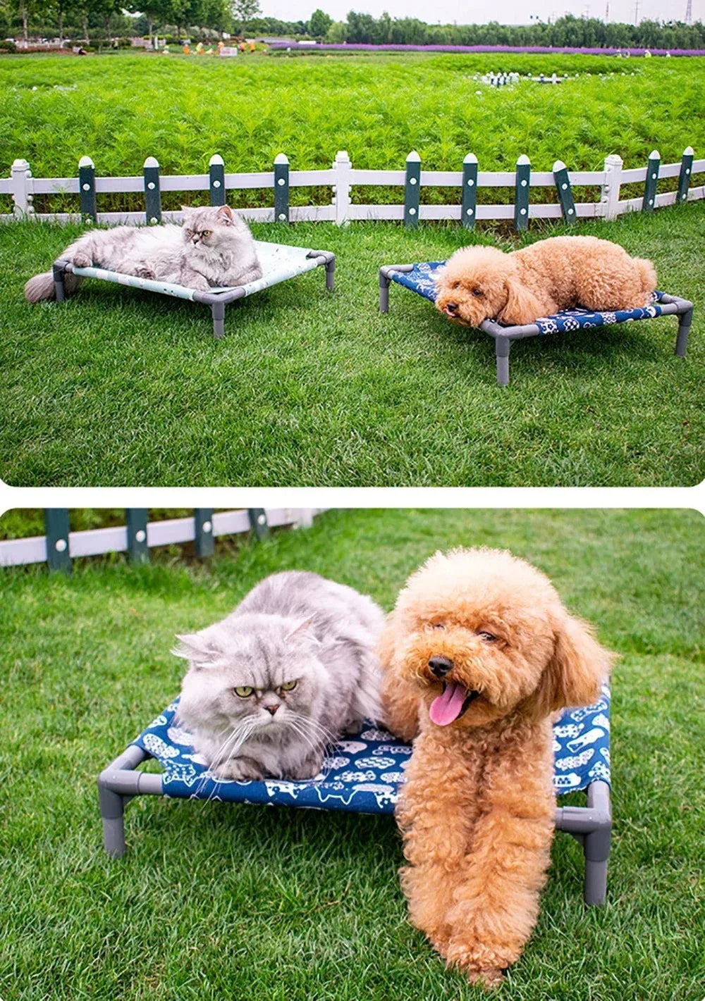 Folding Dog Bed Pet Camping Marching Bed Dog Bed Elevated Removable Washable Four Seasons Removable Dogs Cool Beds